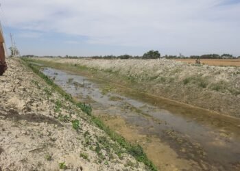 गण्डक नहर सरसफाइ अभियान तीव्र गतिमा