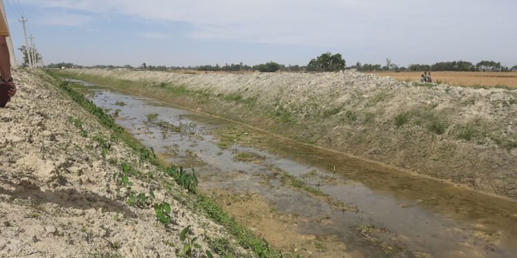 गण्डक नहर सरसफाइ अभियान तीव्र गतिमा