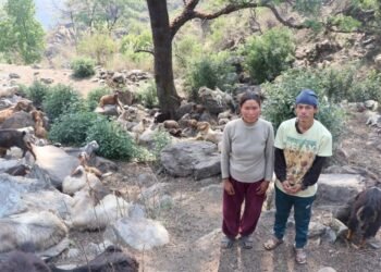 घुम्तीगोठमा बाख्रा पालेर स्वरोजगार र आत्मनिर्भर