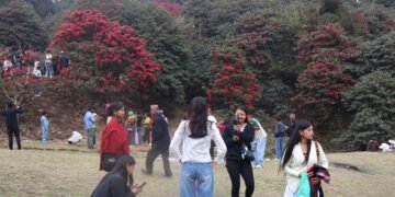 टिएमजे क्षेत्रमा पर्यटकको भीड