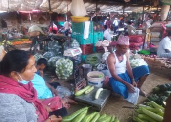 तरकारीमा विषादी प्रयोगबारे सचेत बन्दै किसान