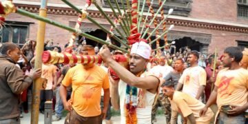 दश इन्च लामो सियोले जिब्रो छेडेर यसरी घुम्नुभयो टोलटोलमा सुजन…