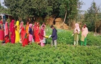 जलवायुमैत्री कृषिमार्फत चुनौतीको सामना गर्दै किसान