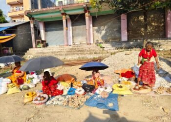 आलेख :‘कसैसँग छैन आशा, गर्छन् सडकमै सङ्घर्ष’