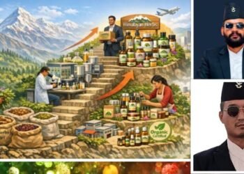 नेपालको समृद्धिको एक भर्‍याङ : जडीबुटी, प्रशोधन र ‘ब्रान्डिङ’,बालेन सरकारले प्राथमिकतामा राख्न आवश्यक