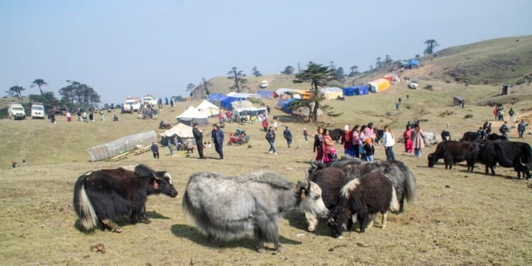 रसुवामा वैशाख १३, १४ र १५ गते चौँरी महोत्सव