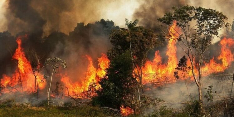 खडेरीले चर्कायो डढेलो, बाँकेका १२ सामुदायिक वन जोखिममा