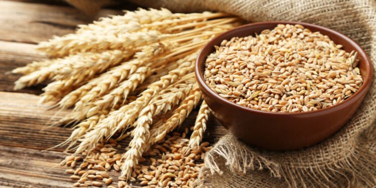 गहुँ र चैते धानको मूल्य निर्धारण