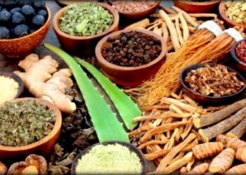 वर्षौँदेखि खेर जाँदै बहुमूल्य जडीबुटी