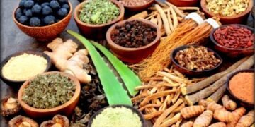 वर्षौँदेखि खेर जाँदै बहुमूल्य जडीबुटी