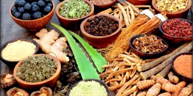 वर्षौँदेखि खेर जाँदै बहुमूल्य जडीबुटी