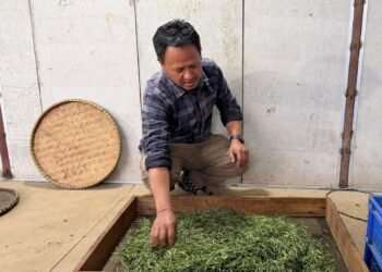 ‘ब्रान्ड’ बन्दै ‘जस्बिरे चिया’