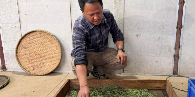 ‘ब्रान्ड’ बन्दै ‘जस्बिरे चिया’