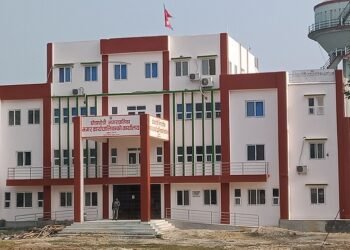 ‘उपभोक्ताले सहजै पाउँदैनन् काठ’