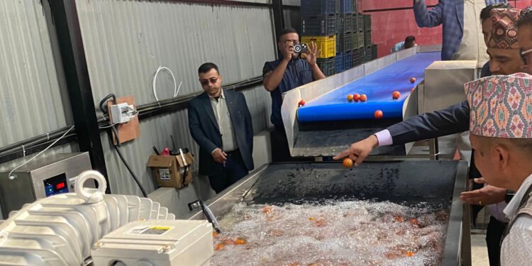 पनौतीमा विषादी अवशेष न्यूनीकरण गर्न ‘फुड–बैंक’