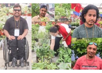 नर्सरीमा नयाँ पुस्ता, वार्षिक करोडौँको कारोबार