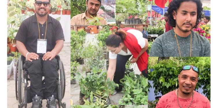 नर्सरीमा नयाँ पुस्ता, वार्षिक करोडौँको कारोबार