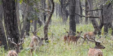 छ महिनामा दुई हजार छ सय पर्यटकले गरे शुक्लाफाँटा भ्रमण