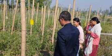 विषादीरहित तरकारी उत्पादनमा किसान