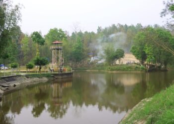 पर्यटकको रोजाइमा तीनकुने पोखरी