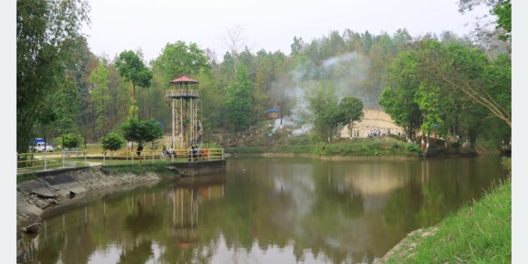 पर्यटकको रोजाइमा तीनकुने पोखरी