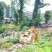 पोखरा महानगरको योजनाः फिर्केको दायाँबायाँ ‘फुटट्रेल’, ‘एलइडी’ले सजाइने