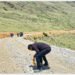 ढोरपाटन–निसेलढोर सडक स्तरोन्नति