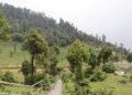 सोलेडाँडामा ‘जडीबुटी पार्क’