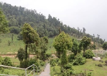 सोलेडाँडामा ‘जडीबुटी पार्क’
