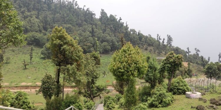 सोलेडाँडामा ‘जडीबुटी पार्क’