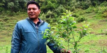 सार्वजनिक जग्गामा स्याउ बगैँचा