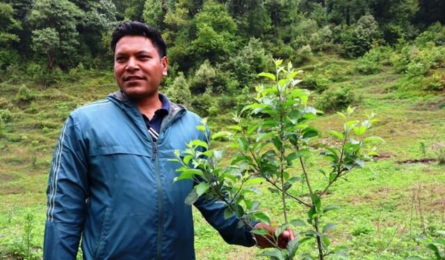 सार्वजनिक जग्गामा स्याउ बगैँचा