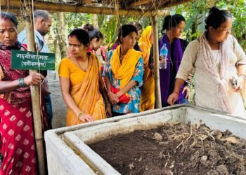 रासायनिक मललाई प्रतिस्थापन गर्दै गँड्यौला मल