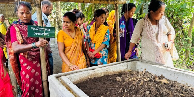 रासायनिक मललाई प्रतिस्थापन गर्दै गँड्यौला मल