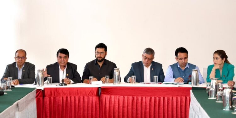 सरकारले व्यवसायीलाई दुःख दिँदैनः सभापति लामिछाने