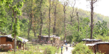 दैलेखमा ४२० हेक्टर वन क्षेत्र अतिक्रमणको चपेटामा
