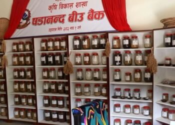 महाभारतमा सात हजार कफीका बिरुवा वितरण