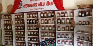 महाभारतमा सात हजार कफीका बिरुवा वितरण