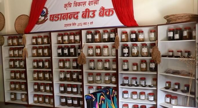 महाभारतमा सात हजार कफीका बिरुवा वितरण