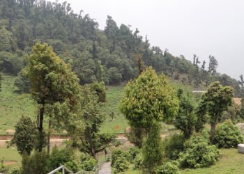 सोलेडाँडामा ‘जडीबुटी पार्क’