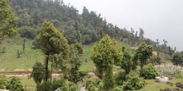 सोलेडाँडामा ‘जडीबुटी पार्क’