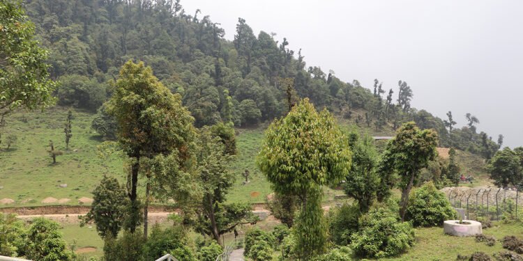 सोलेडाँडामा ‘जडीबुटी पार्क’