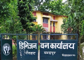 तीन हजार १९० हेक्टर वनक्षेत्र अतिक्रमण