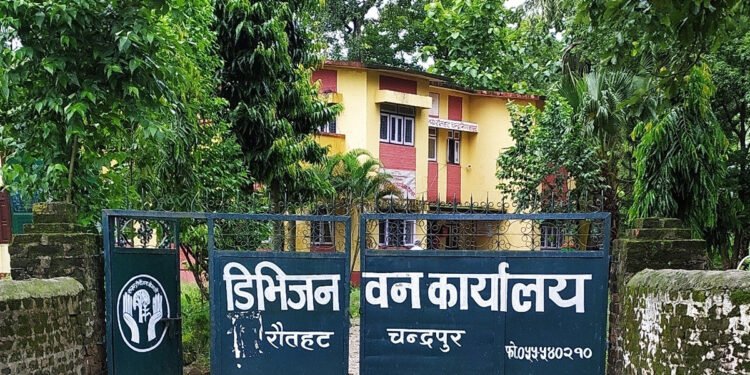 तीन हजार १९० हेक्टर वनक्षेत्र अतिक्रमण