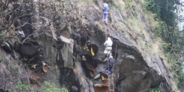 ज्यानको बाजी लगाएर भीरमा मह सिकार, विदेशीसमेत मोहित