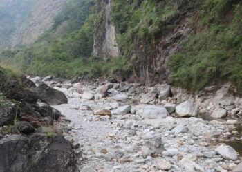 म्याग्दीको मिस्त्रीखोलामा माछा पाइन छाडे