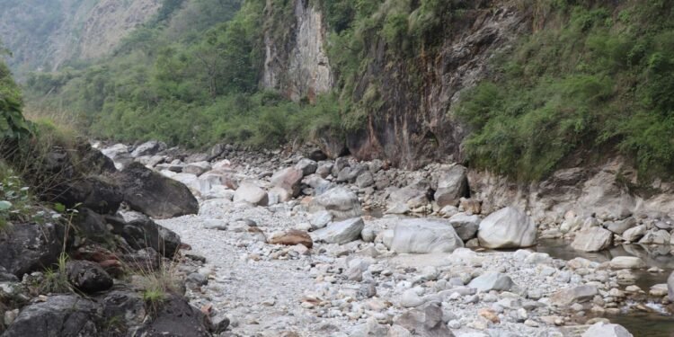 म्याग्दीको मिस्त्रीखोलामा माछा पाइन छाडे