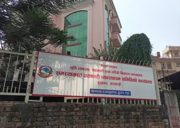 समस्याग्रस्त घोषित १० वटा सहकारीका ठूला ऋणीहरूको नाम सार्वजनिक