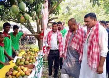 आँप महोत्सव सम्पन्नः उत्साहित किसान