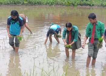 चितवनका विद्यार्थी धान रोप्न सिक्दै